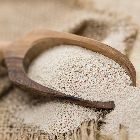 Yeast